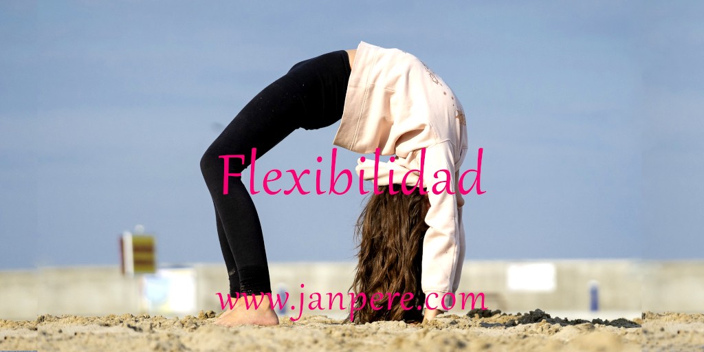 Flexibilidad