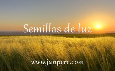 Sembrando semillas de luz.