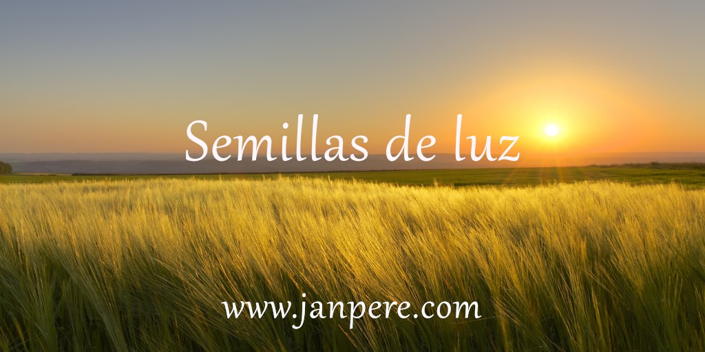 Semillas de luz Semillas de luz