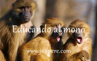Educando al mono