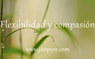 Flexibilidad y compasión. Tercera parte de asertividad.